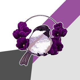 Image of a chickadee surrounded by purple flowers with the demisexual flag as the background.